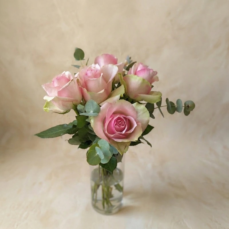 Lange Rosen 'Creme-Rosé'