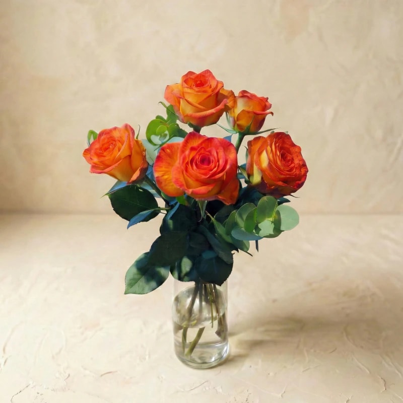 Lange Rosen 'Feuriges Orange'